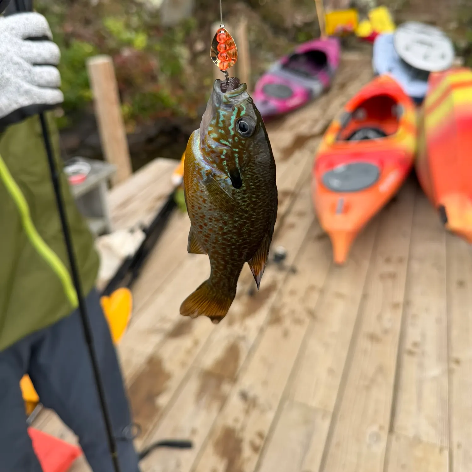 catch
