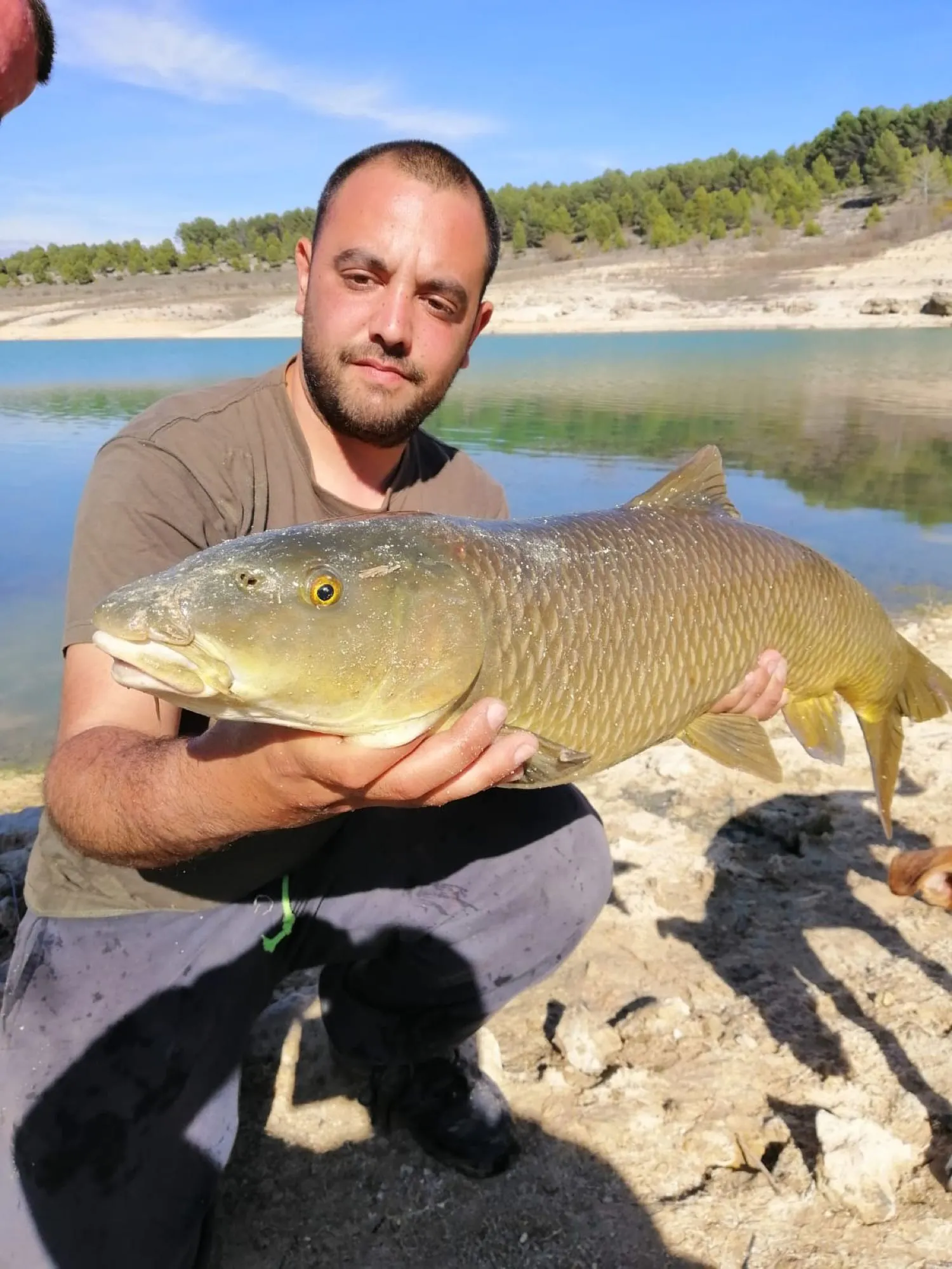 Post image from aperez8411