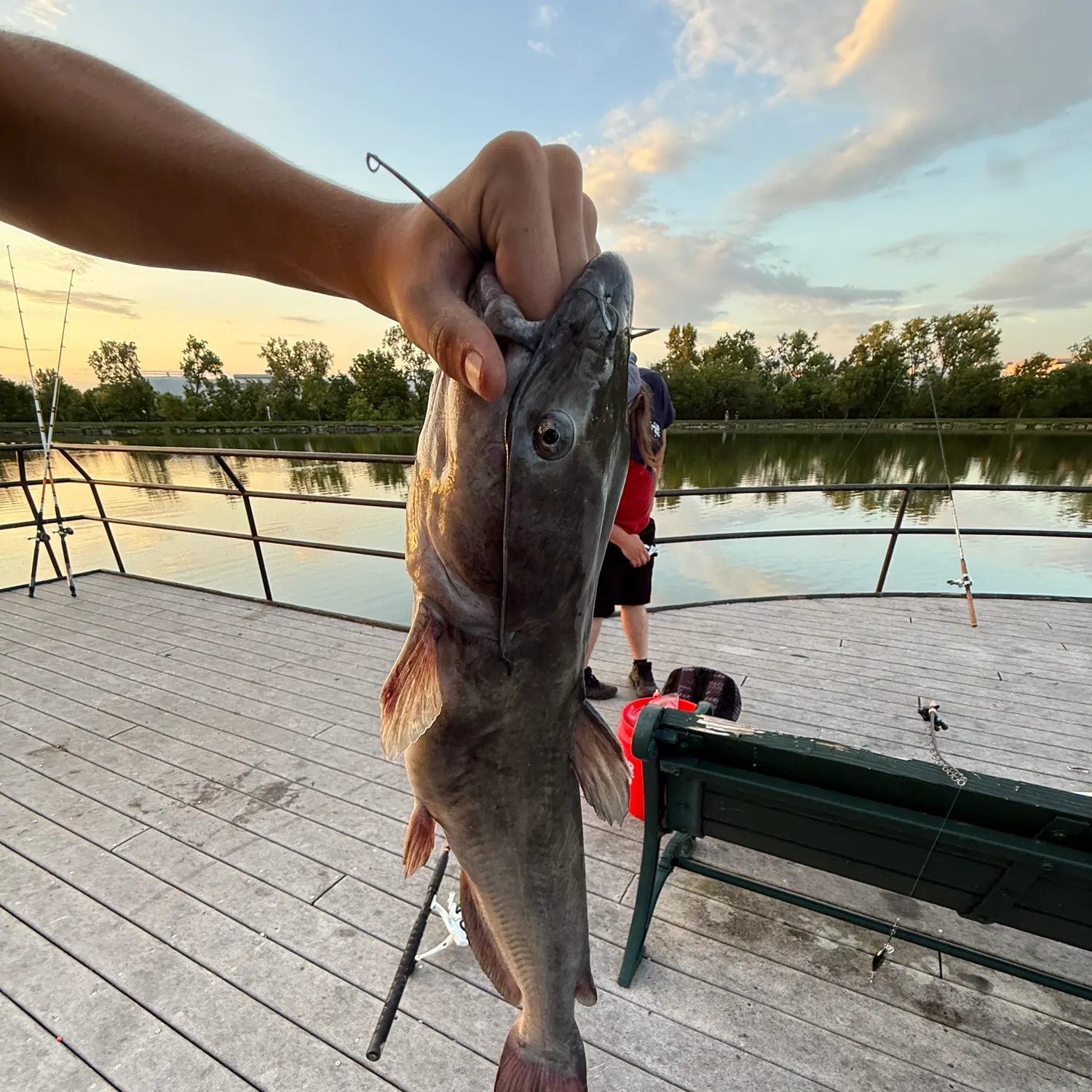 catch