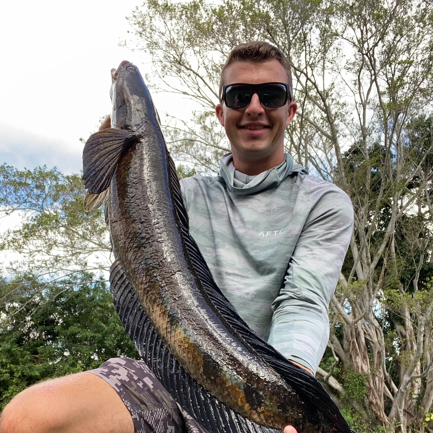 The most recent Bullseye snakehead catches on Fishbrain
