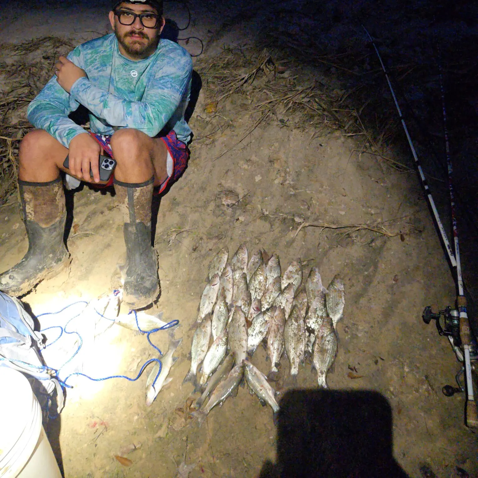 The most recent White bass catches on Fishbrain