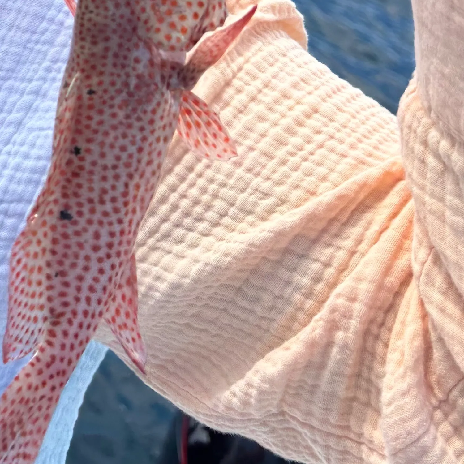 most liked catch image