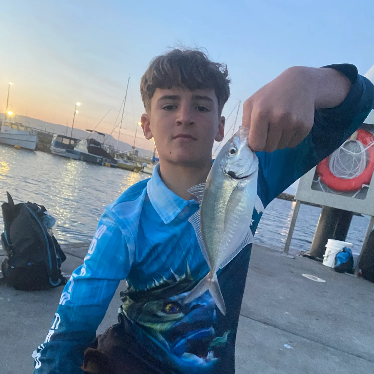 The most recent Silver trevally catches on Fishbrain