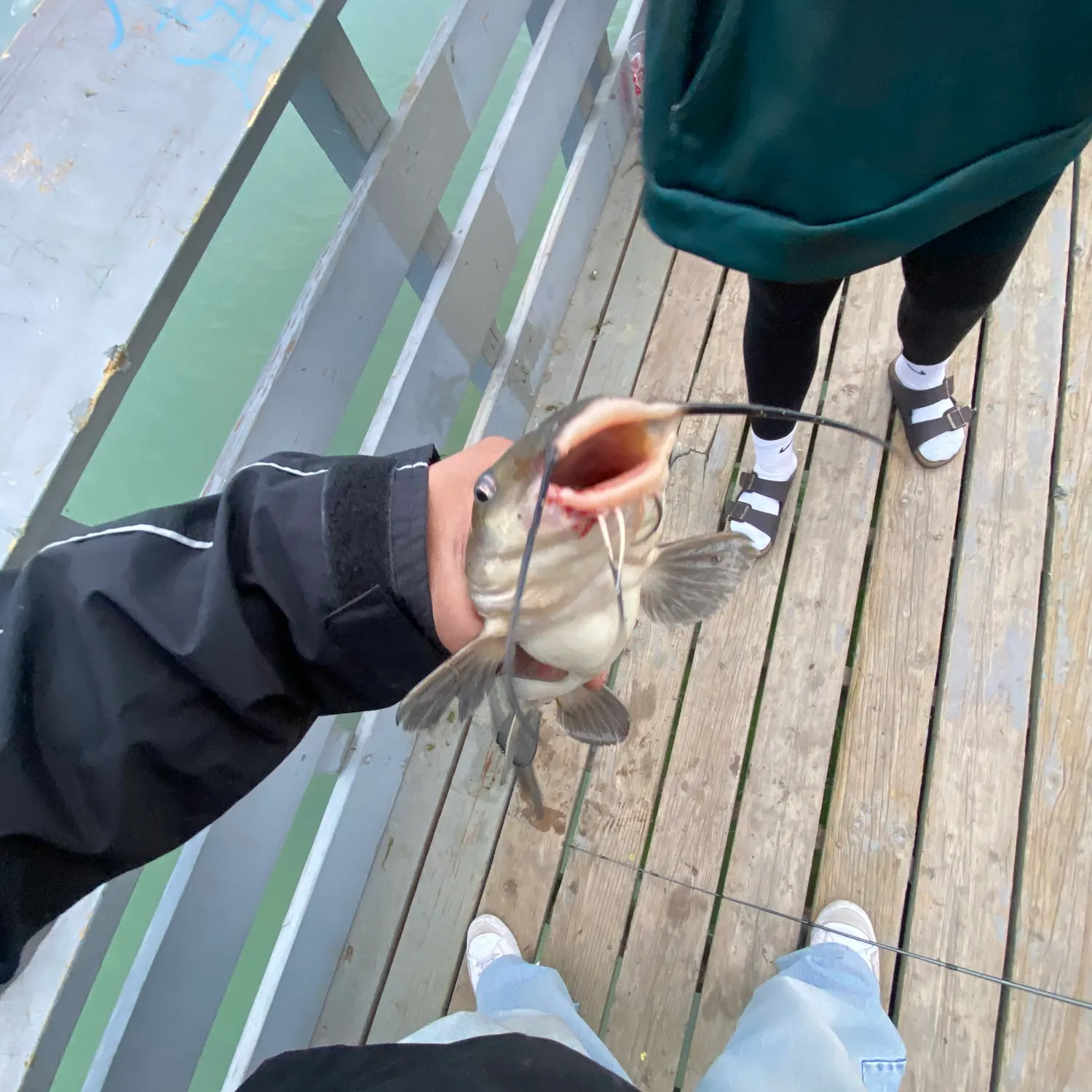 catch