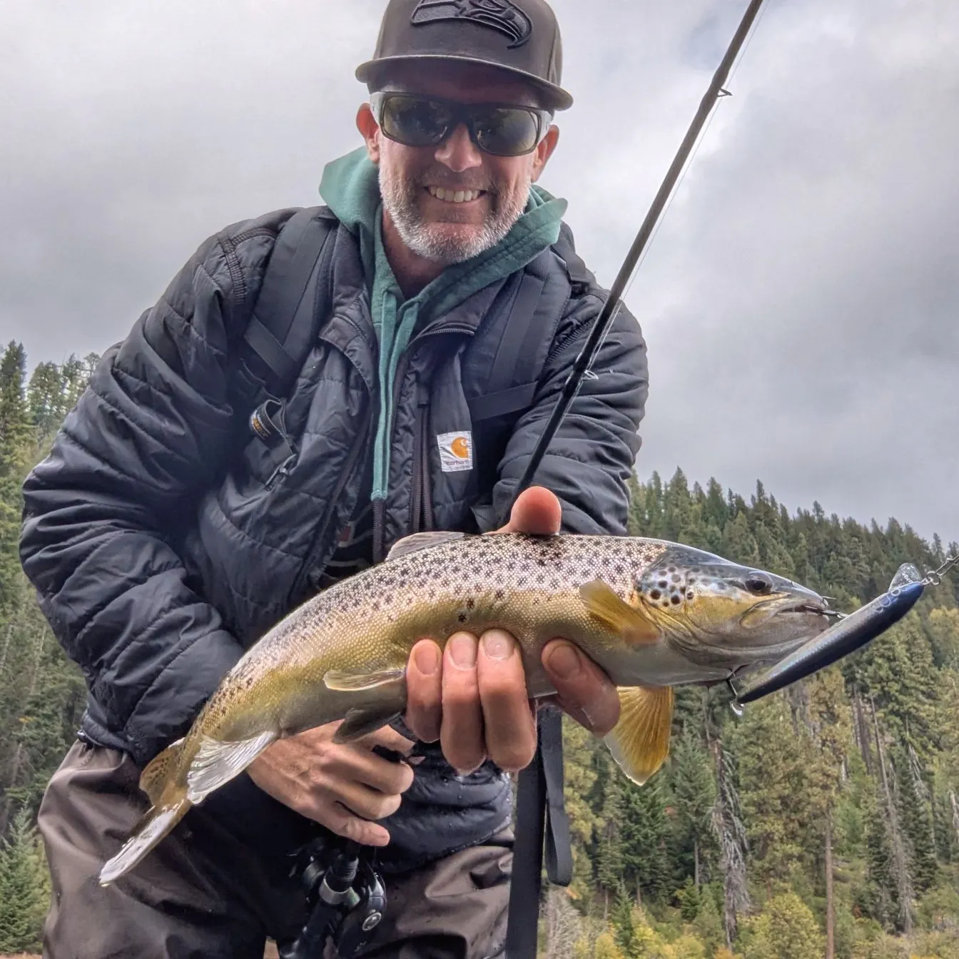 Brown trout caught on Fishbrain