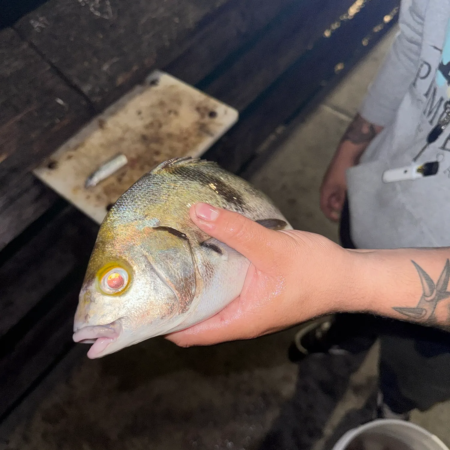 catch