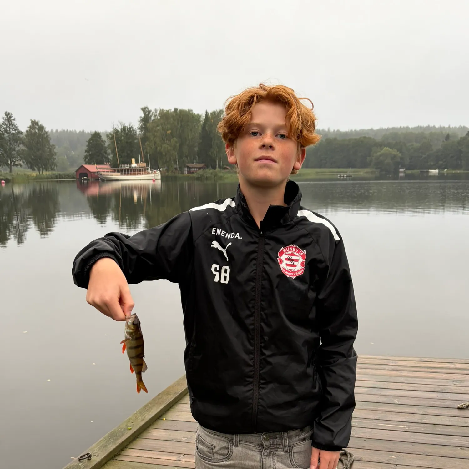 European perch caught on Fishbrain