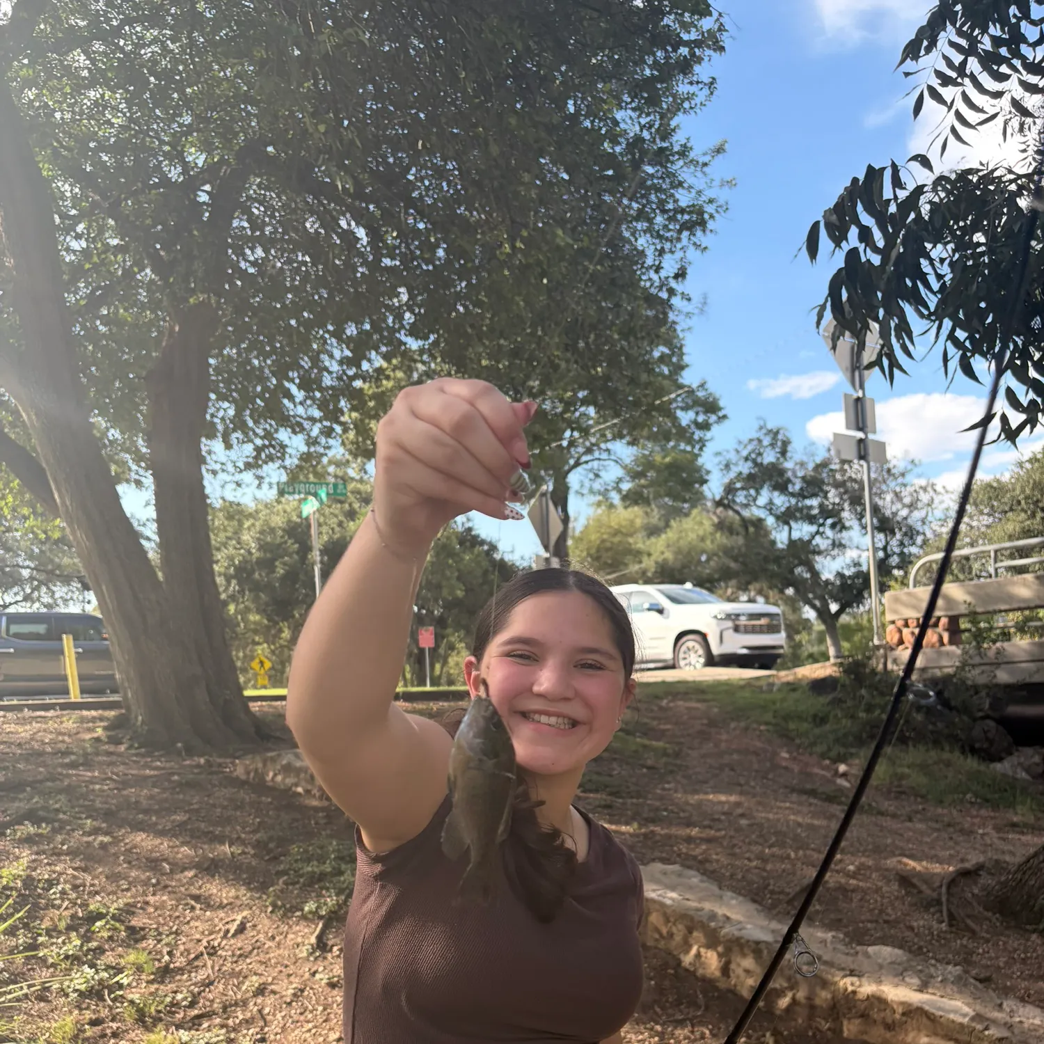 Bluegill caught on Fishbrain