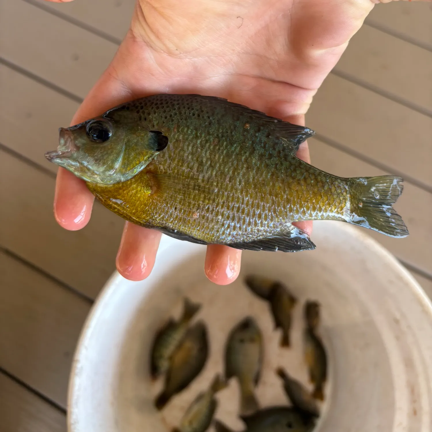catch