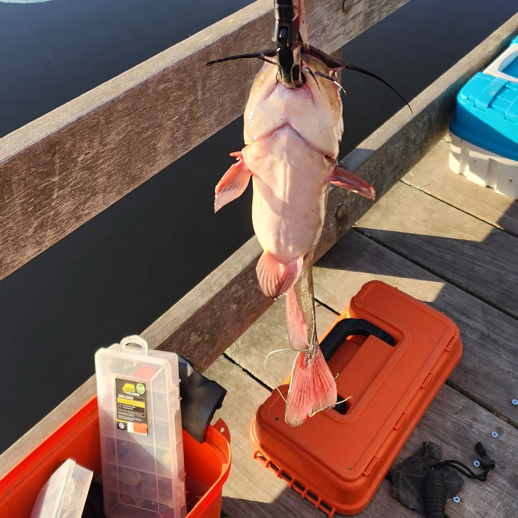 catch
