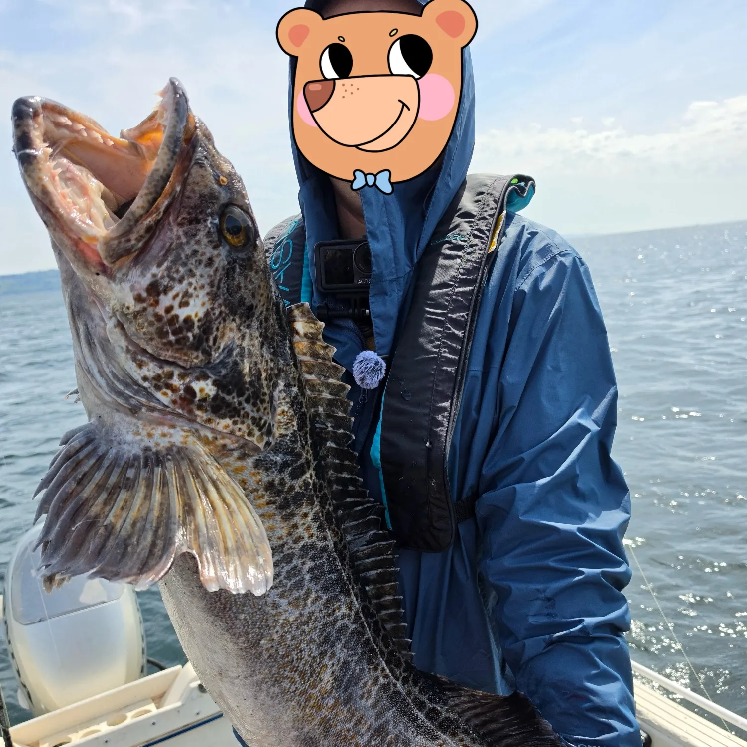 The most recent Lingcod catches on Fishbrain