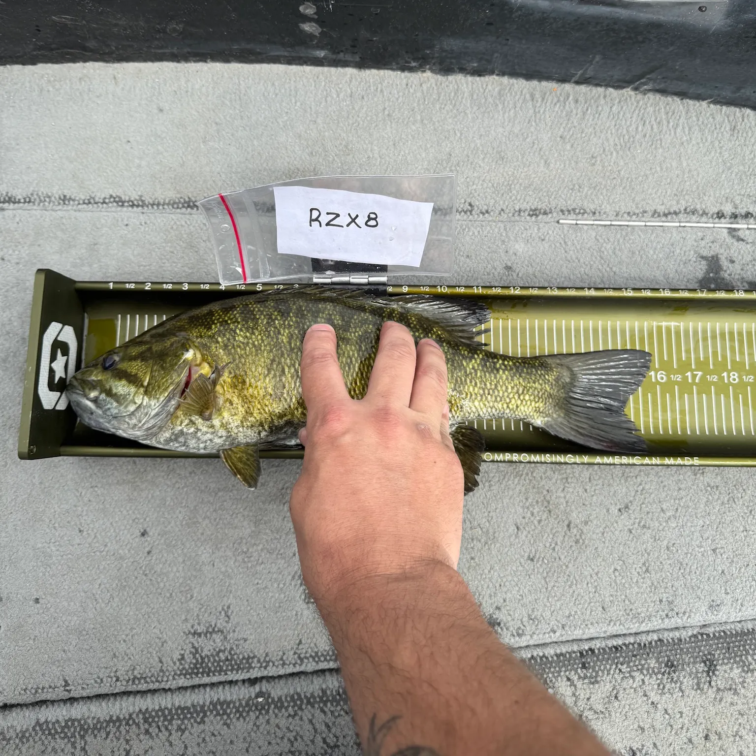 recently logged catches