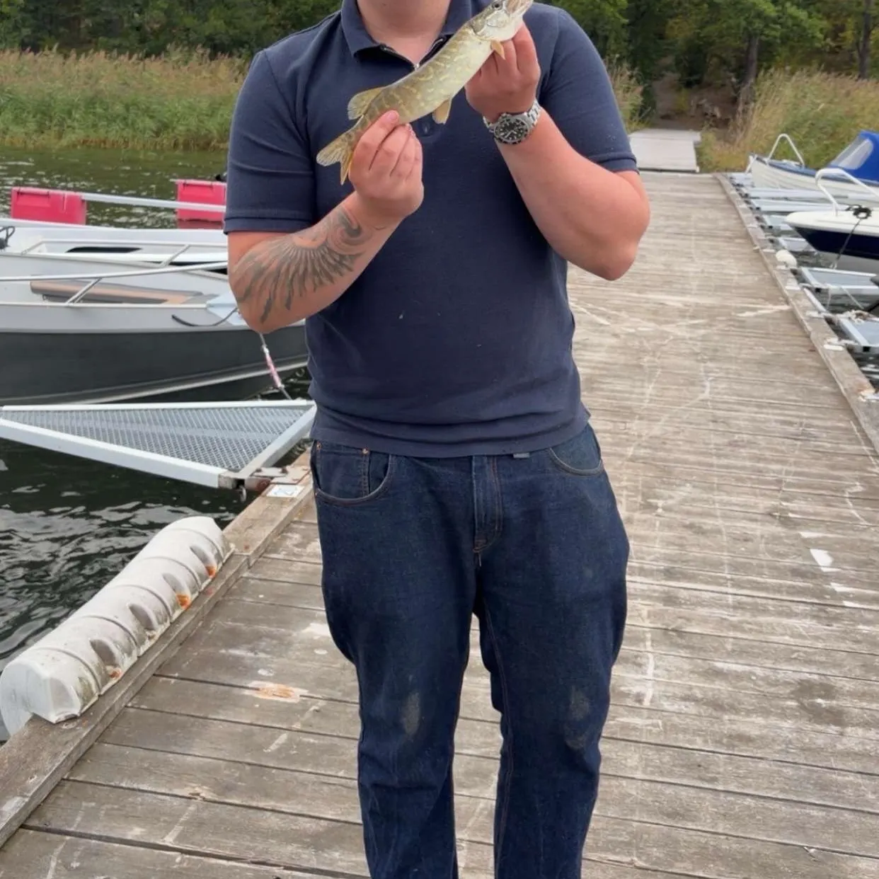 Northern pike caught on Fishbrain