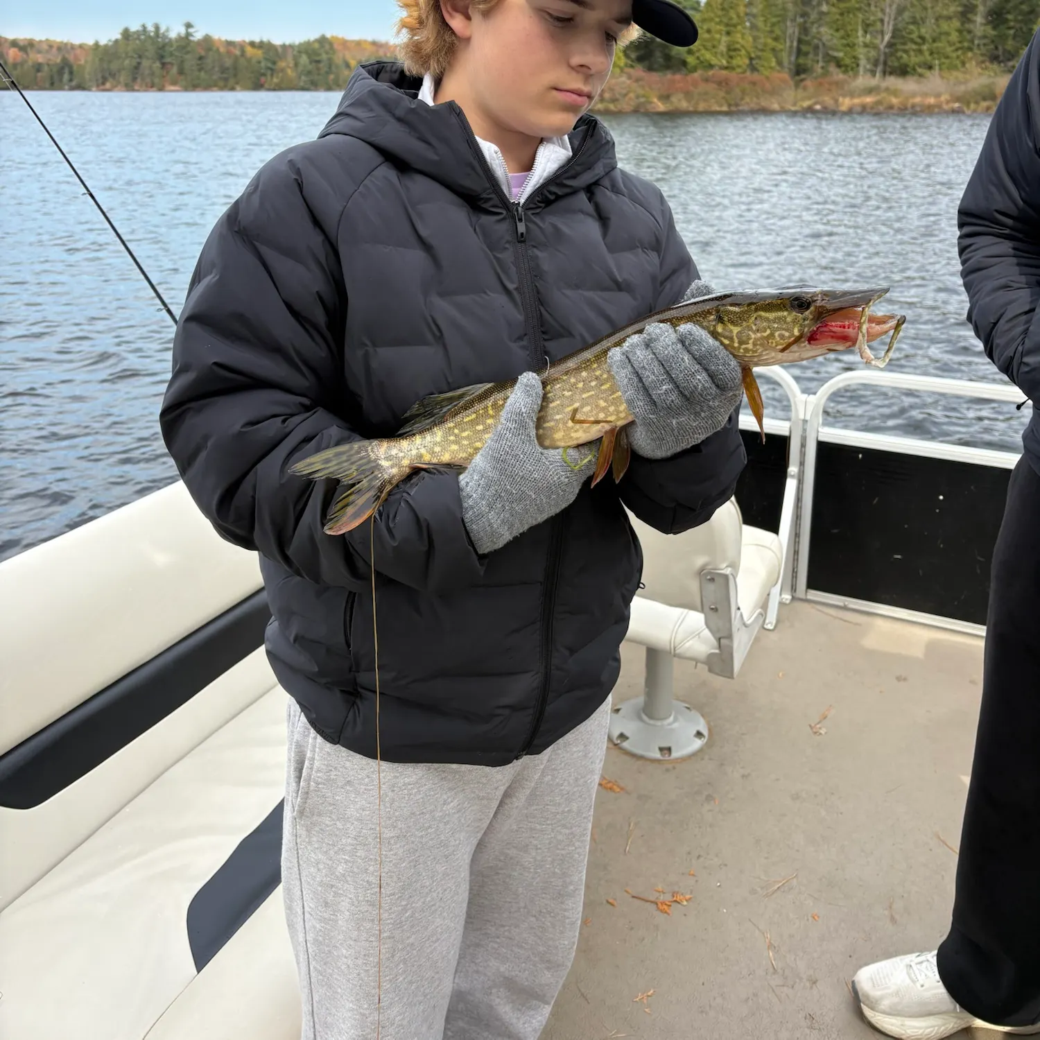 Northern pike caught on Fishbrain