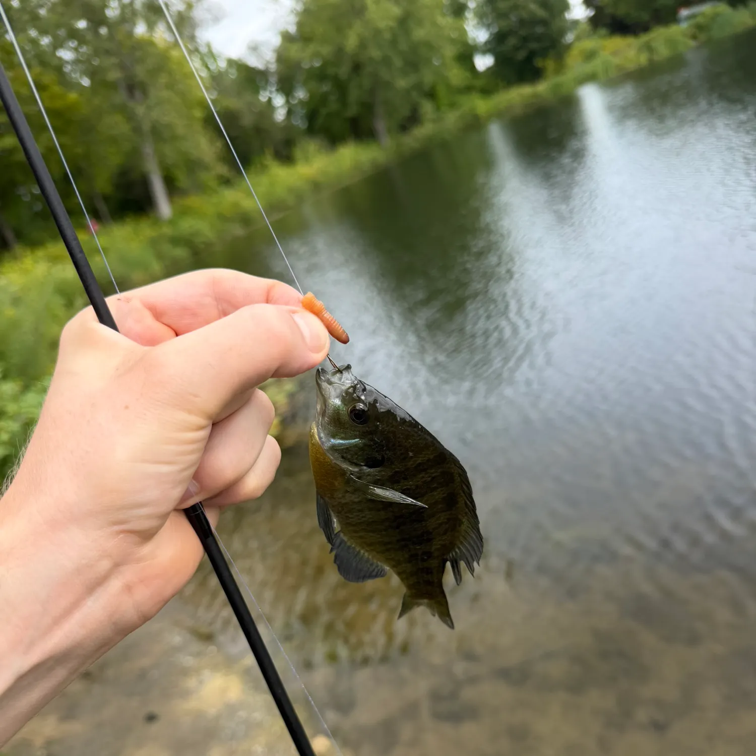 catch