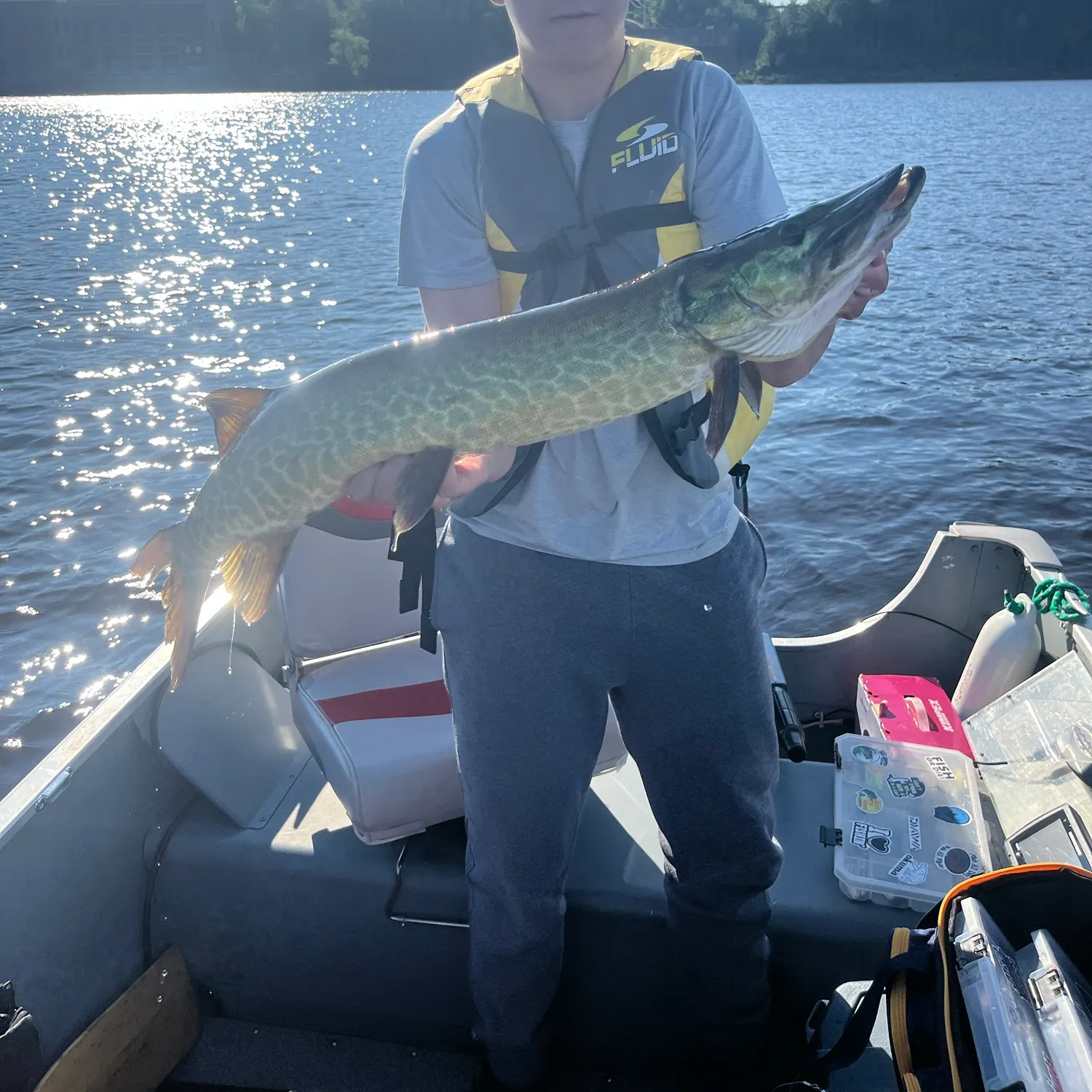 The most recent Muskellunge catches on Fishbrain