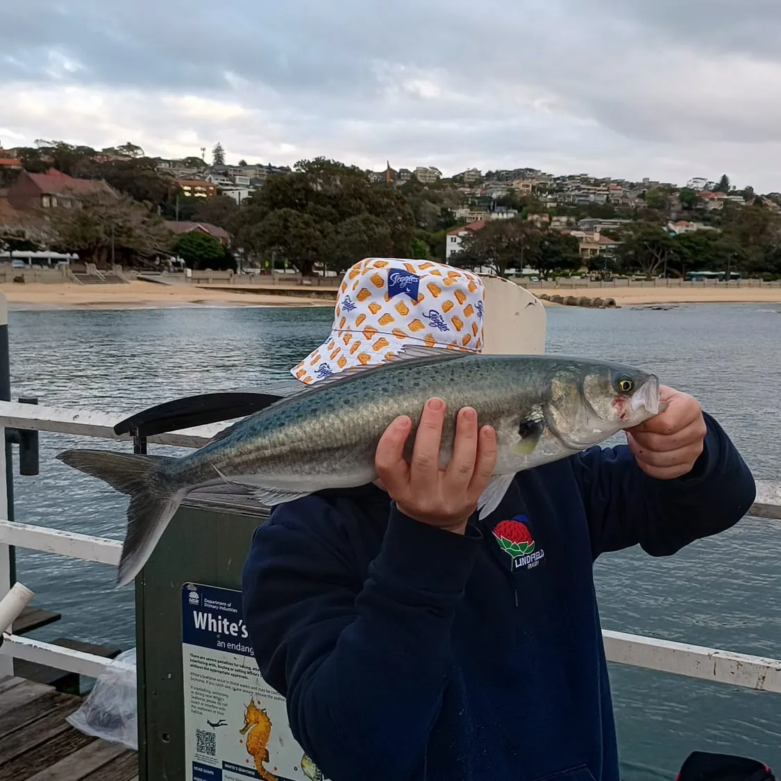 Eastern Australian salmon caught on Fishbrain