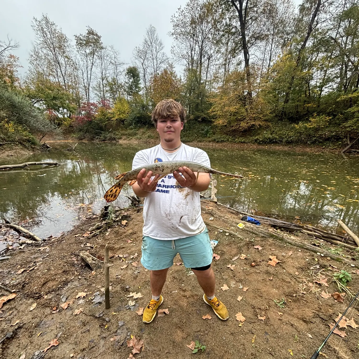 Longnose gar caught on Fishbrain
