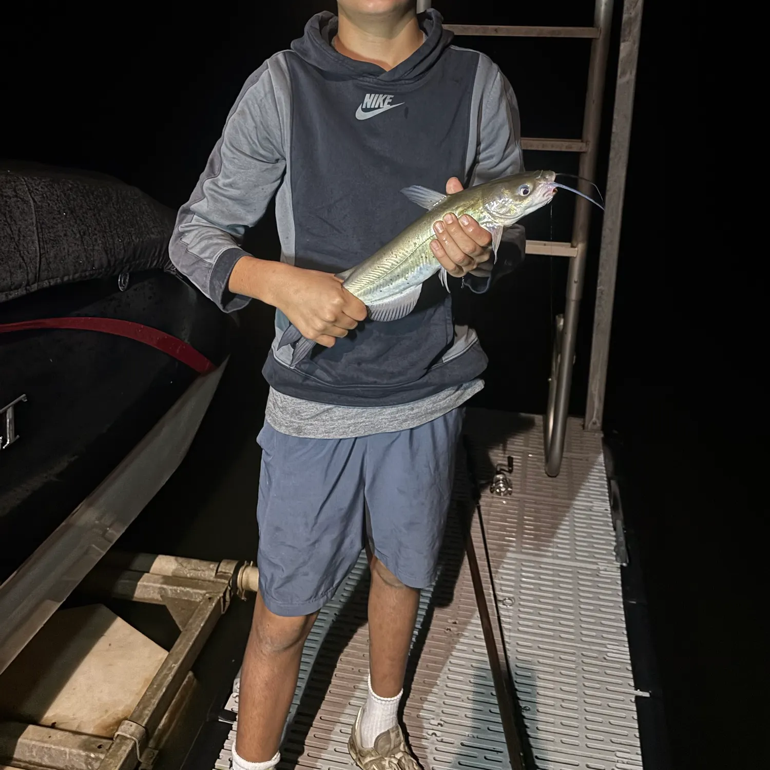 Channel catfish caught on Fishbrain