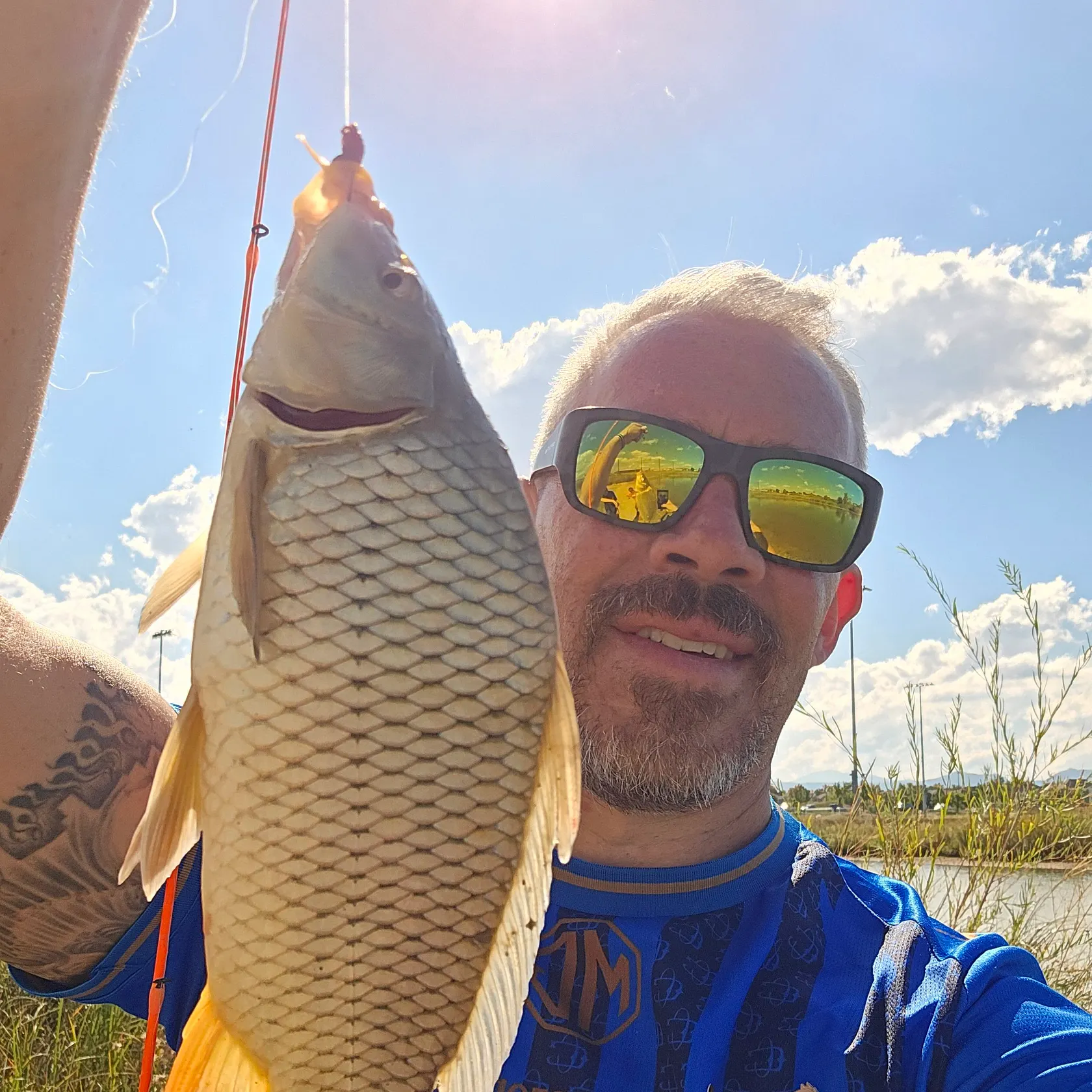 Common carp caught on Fishbrain
