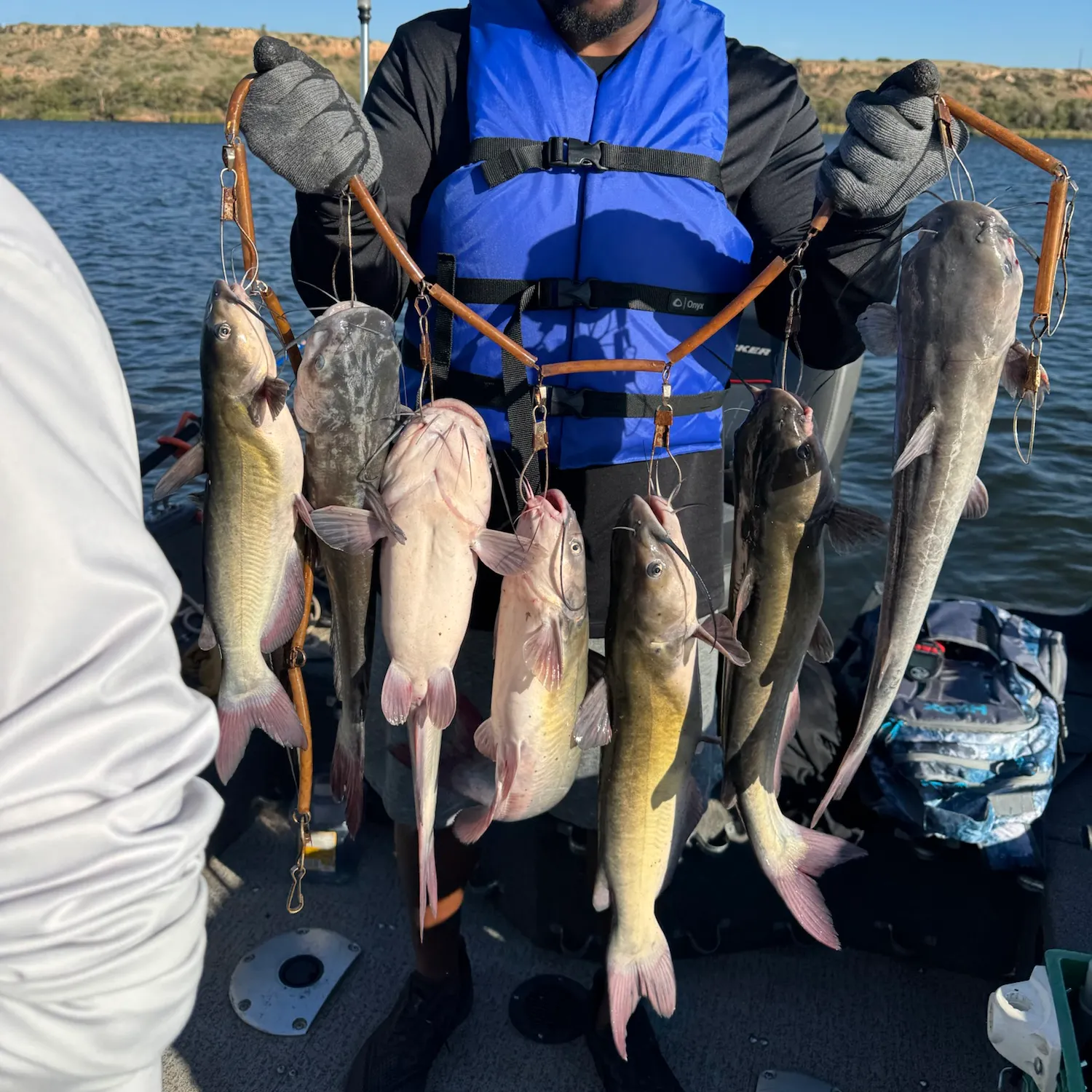 Channel catfish caught on Fishbrain
