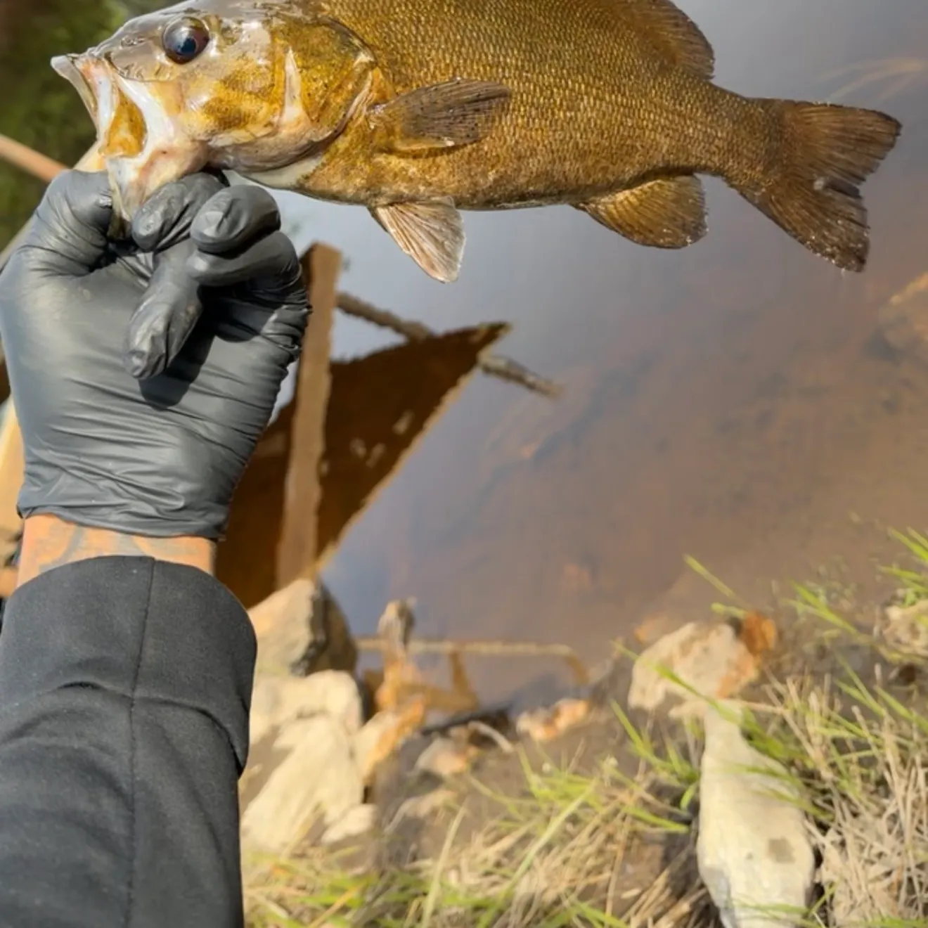 catch