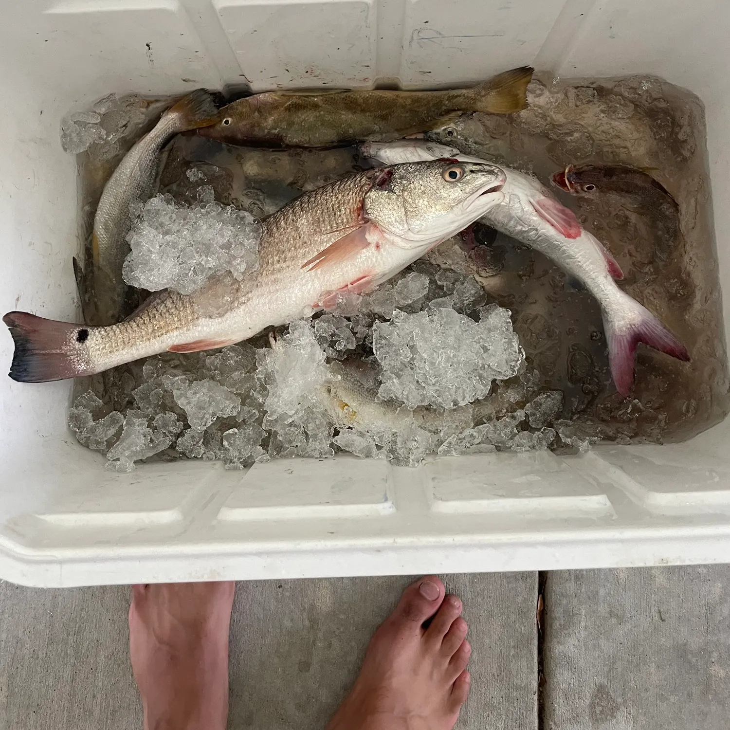 catch