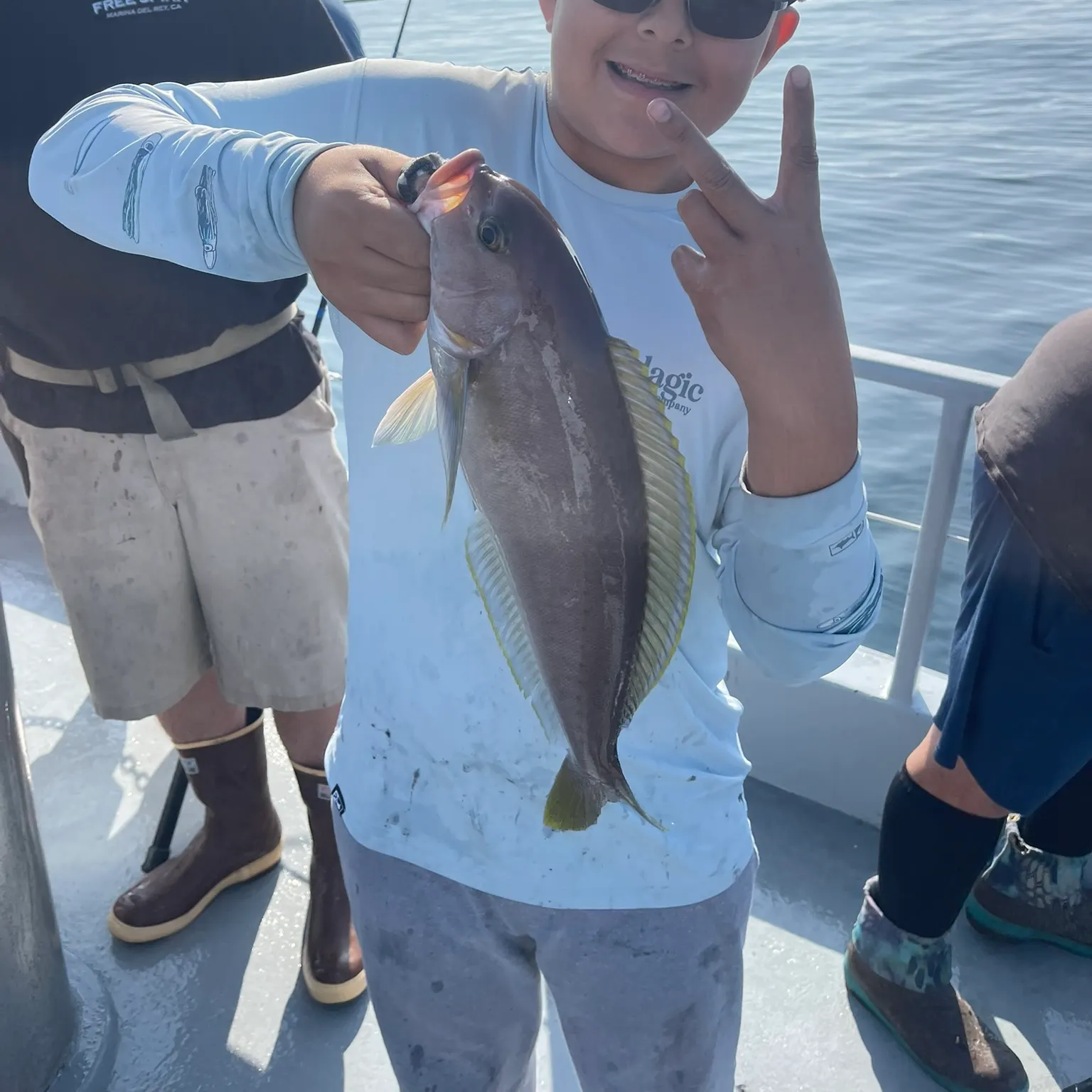 The most recent Mountain whitefish catches on Fishbrain