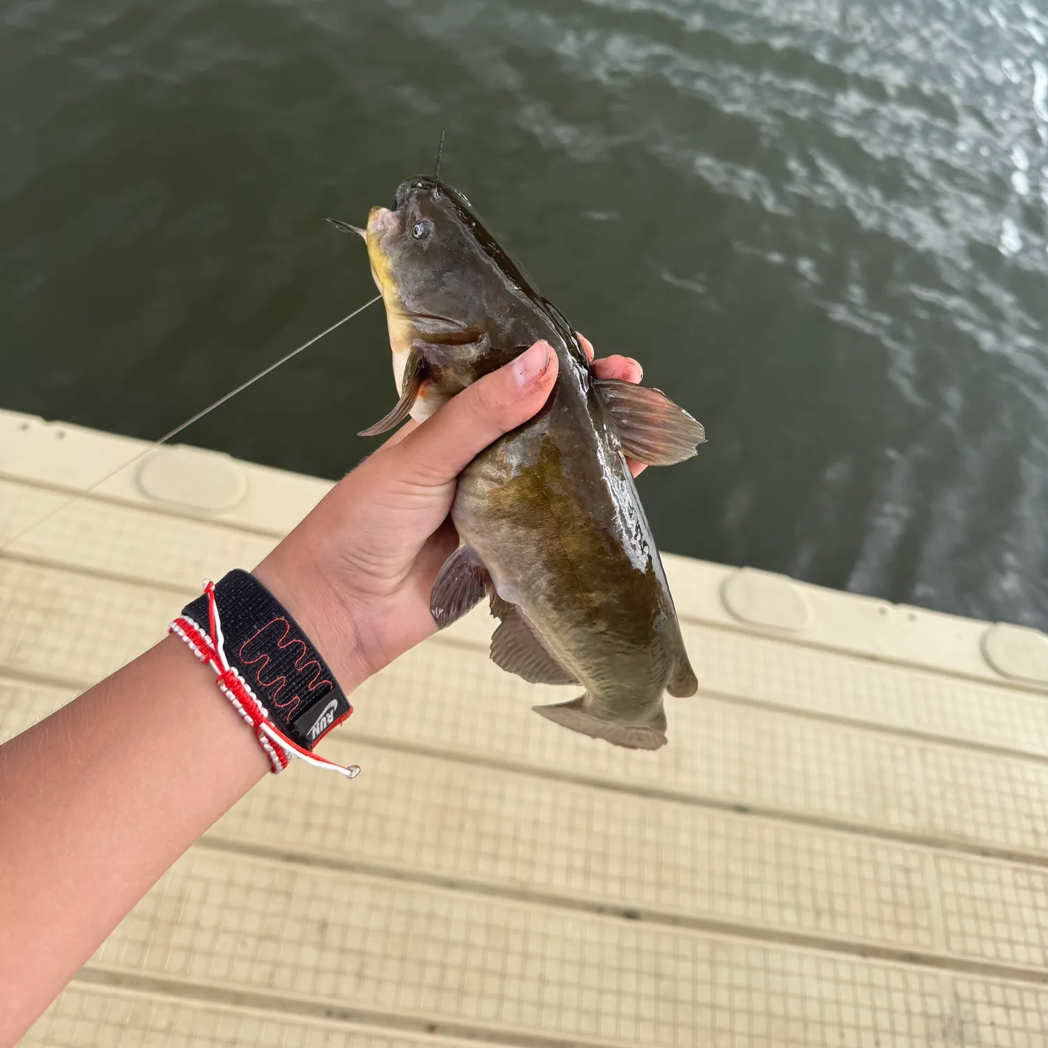 Brown bullhead caught on Fishbrain