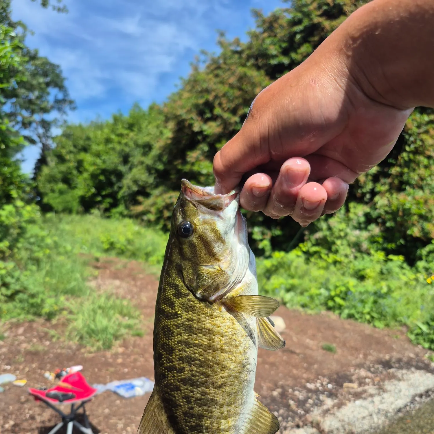 catch