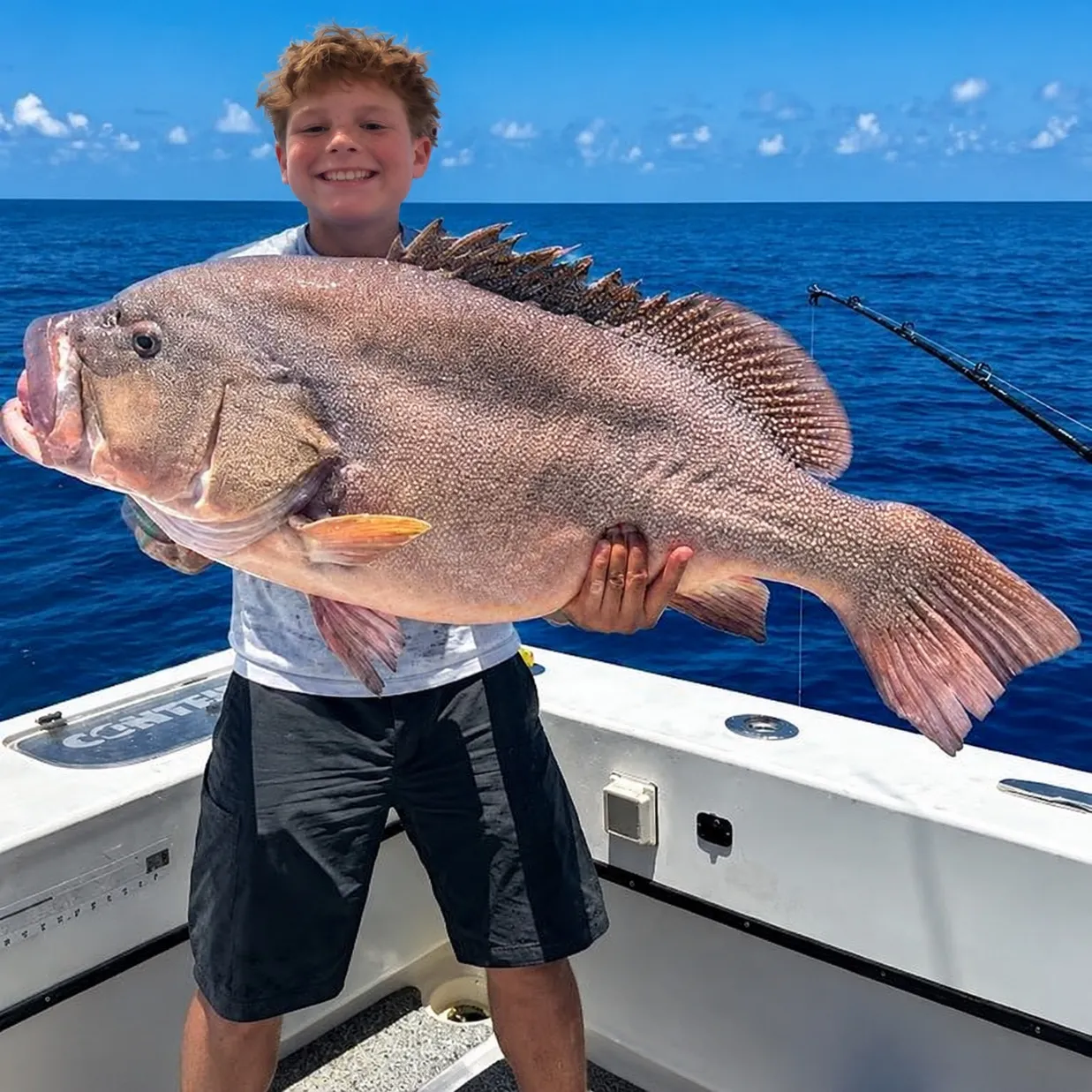 Atlantic goliath grouper caught on Fishbrain