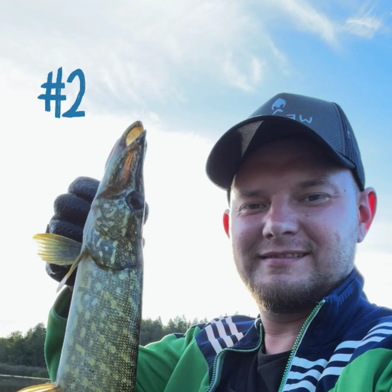 Northern pike caught on Fishbrain