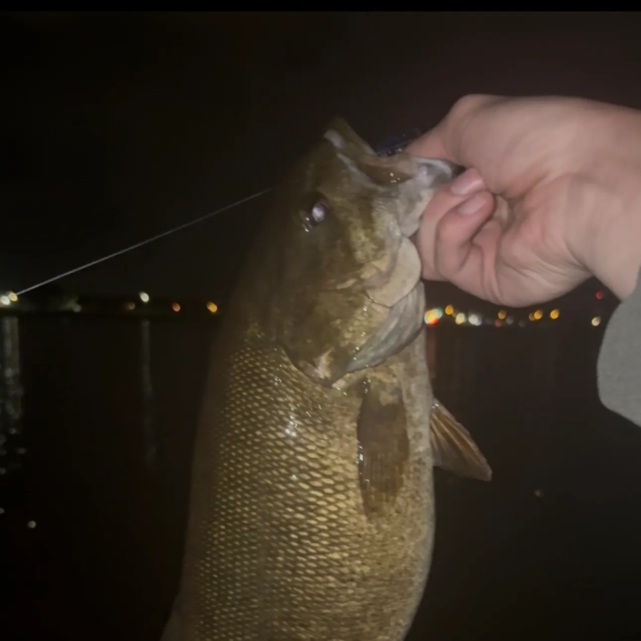 Smallmouth bass caught on Fishbrain