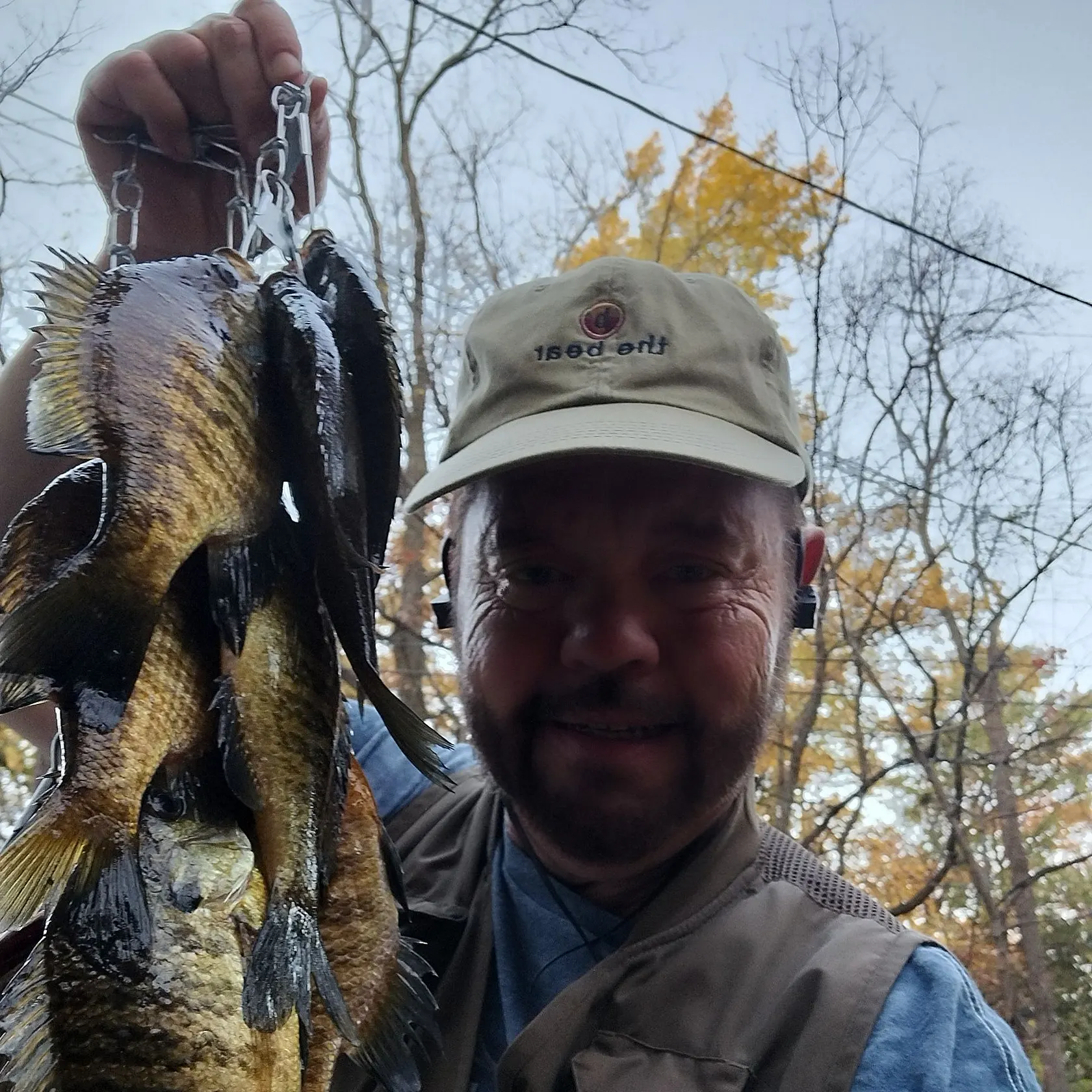 Bluegill caught on Fishbrain