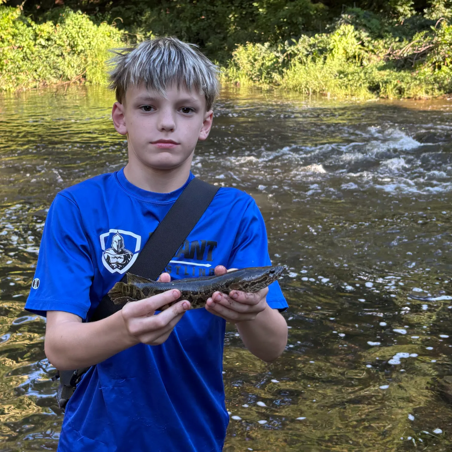 Northern snakehead caught on Fishbrain