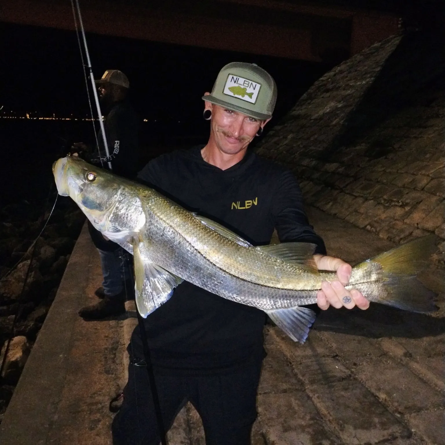 Common snook caught on Fishbrain