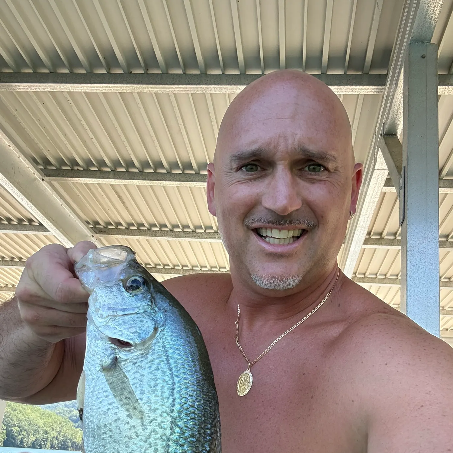 angler catch