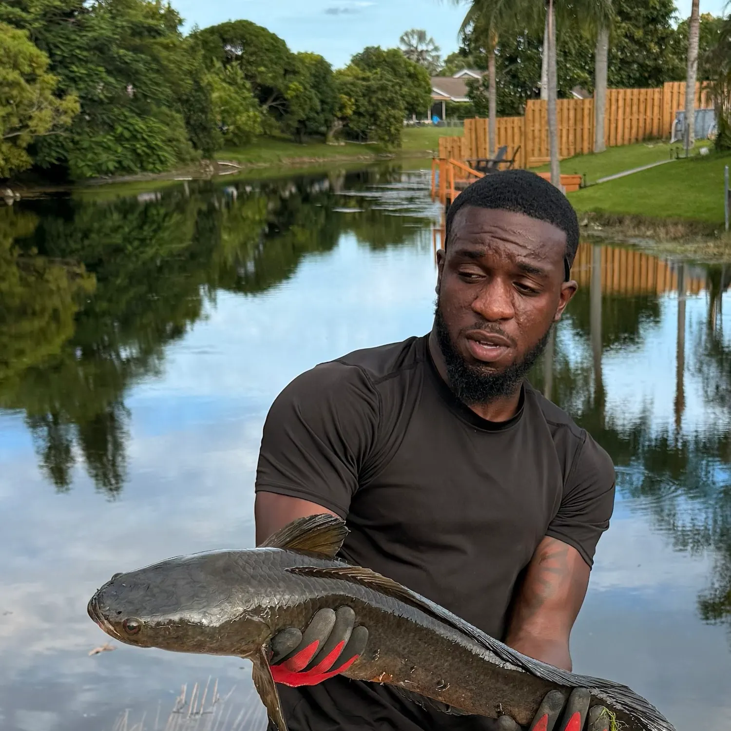 The most recent Bullseye snakehead catches on Fishbrain