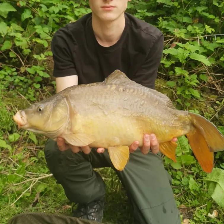 The most recent Leather carp catches on Fishbrain