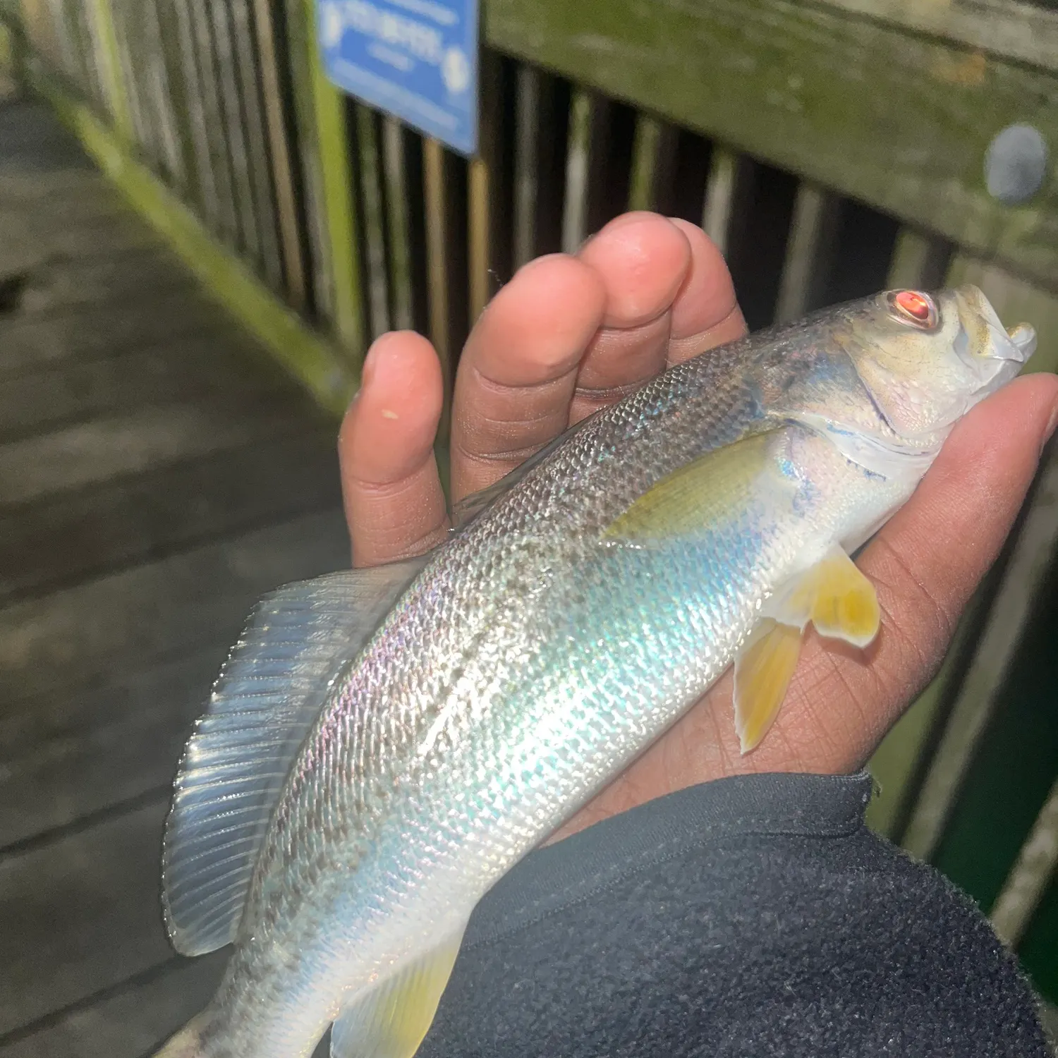 most liked catch image