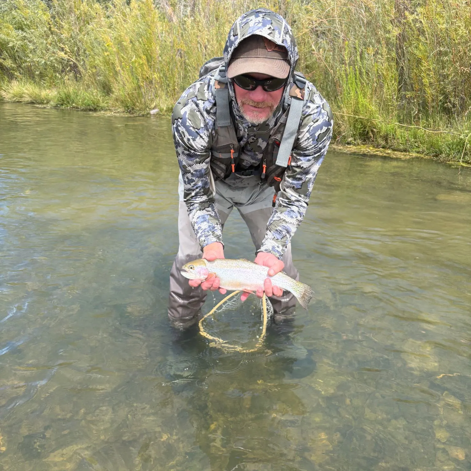 Rainbow trout caught on Fishbrain