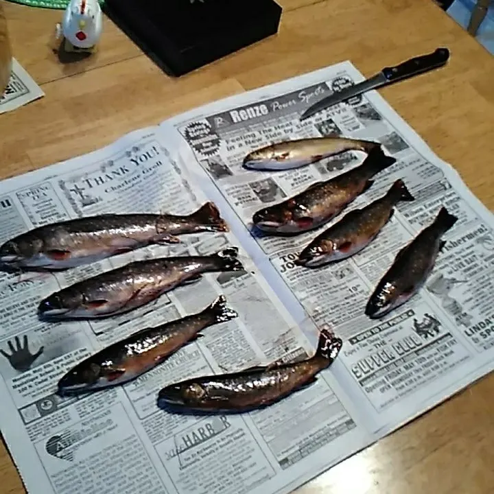 recently logged catches