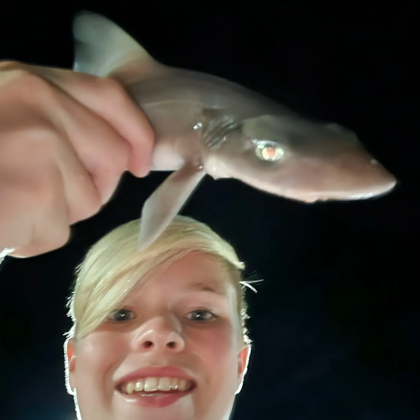 The most recent Piked dogfish catches on Fishbrain