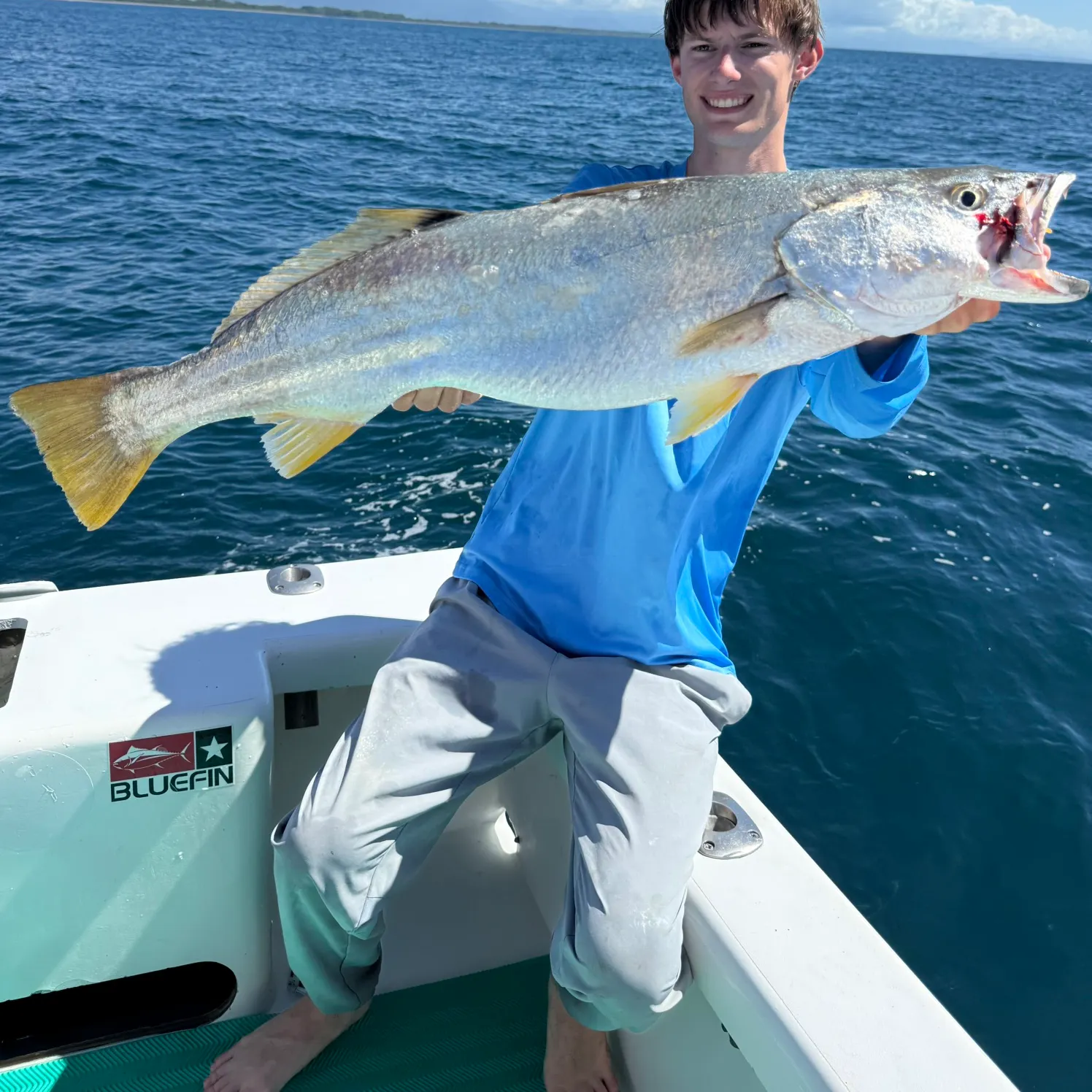 The most recent Stolzmann's weakfish catches on Fishbrain