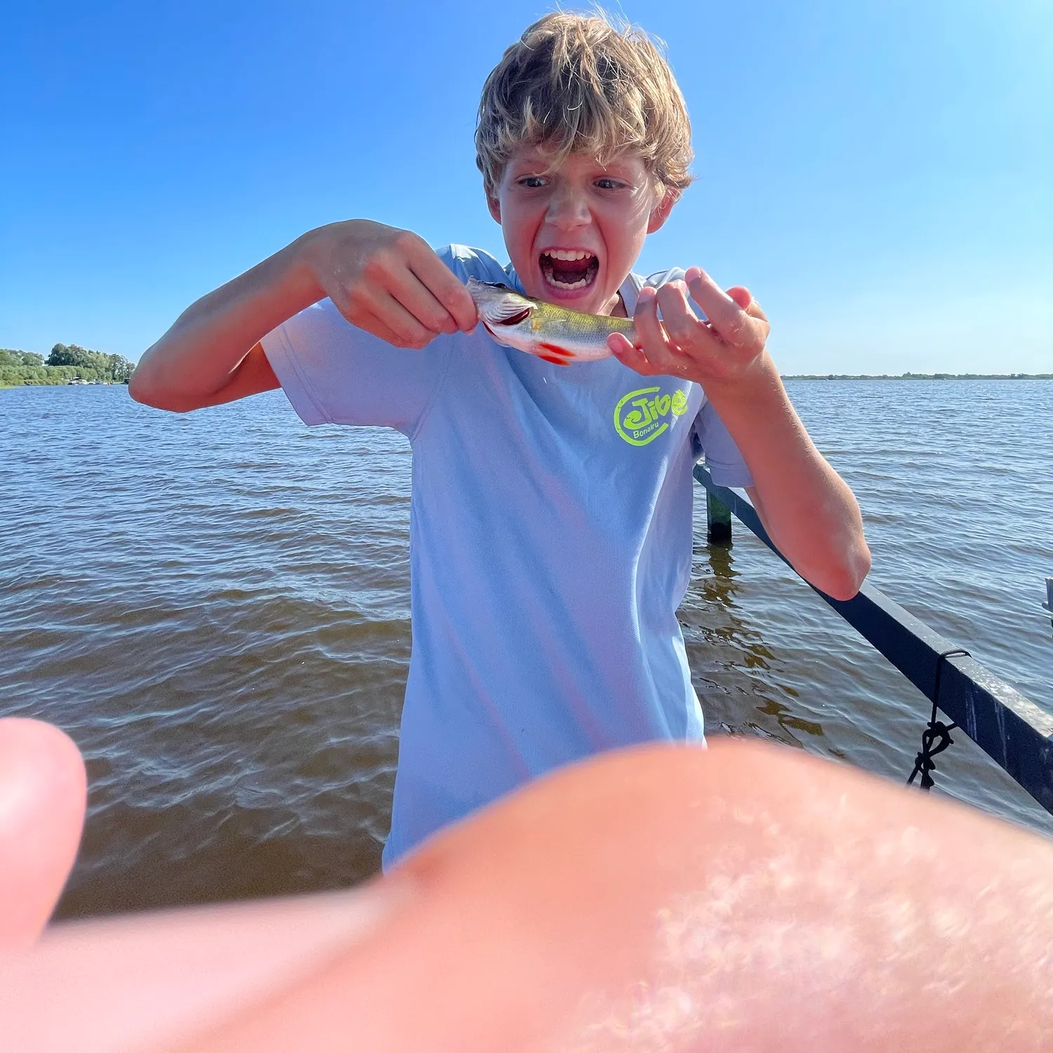 European perch caught on Fishbrain