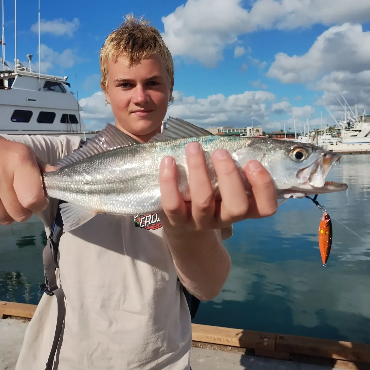 The most recent Stolzmann's weakfish catches on Fishbrain