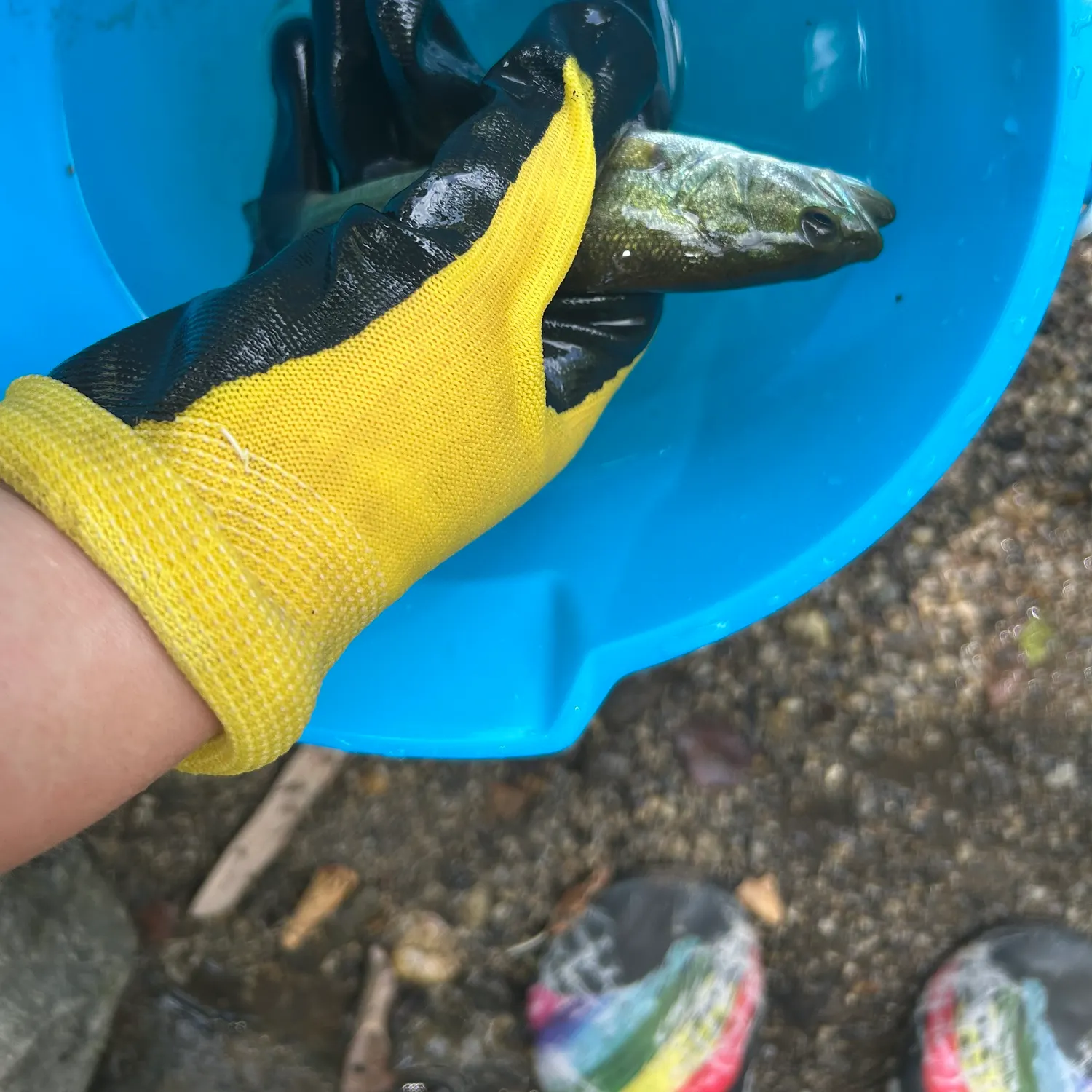 catch