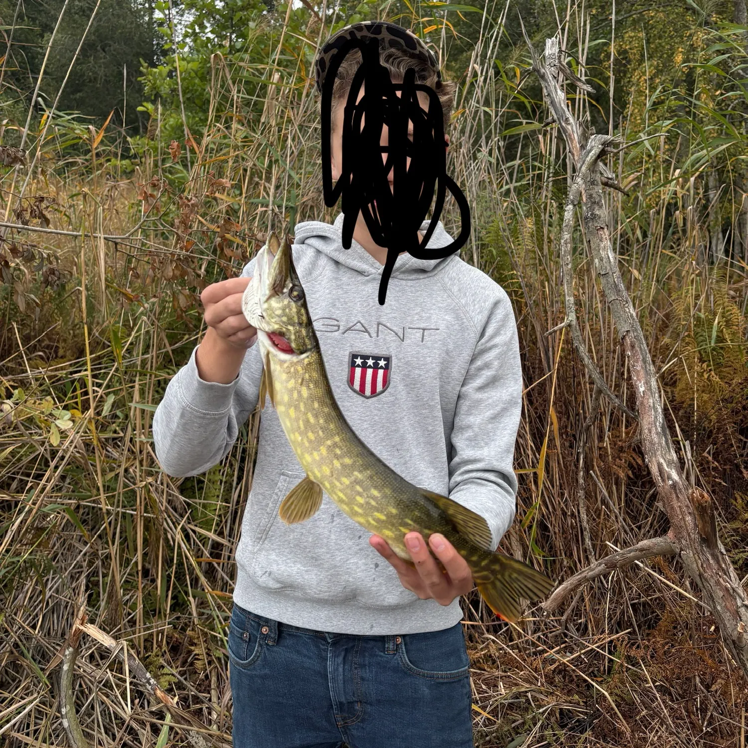 Northern pike caught on Fishbrain