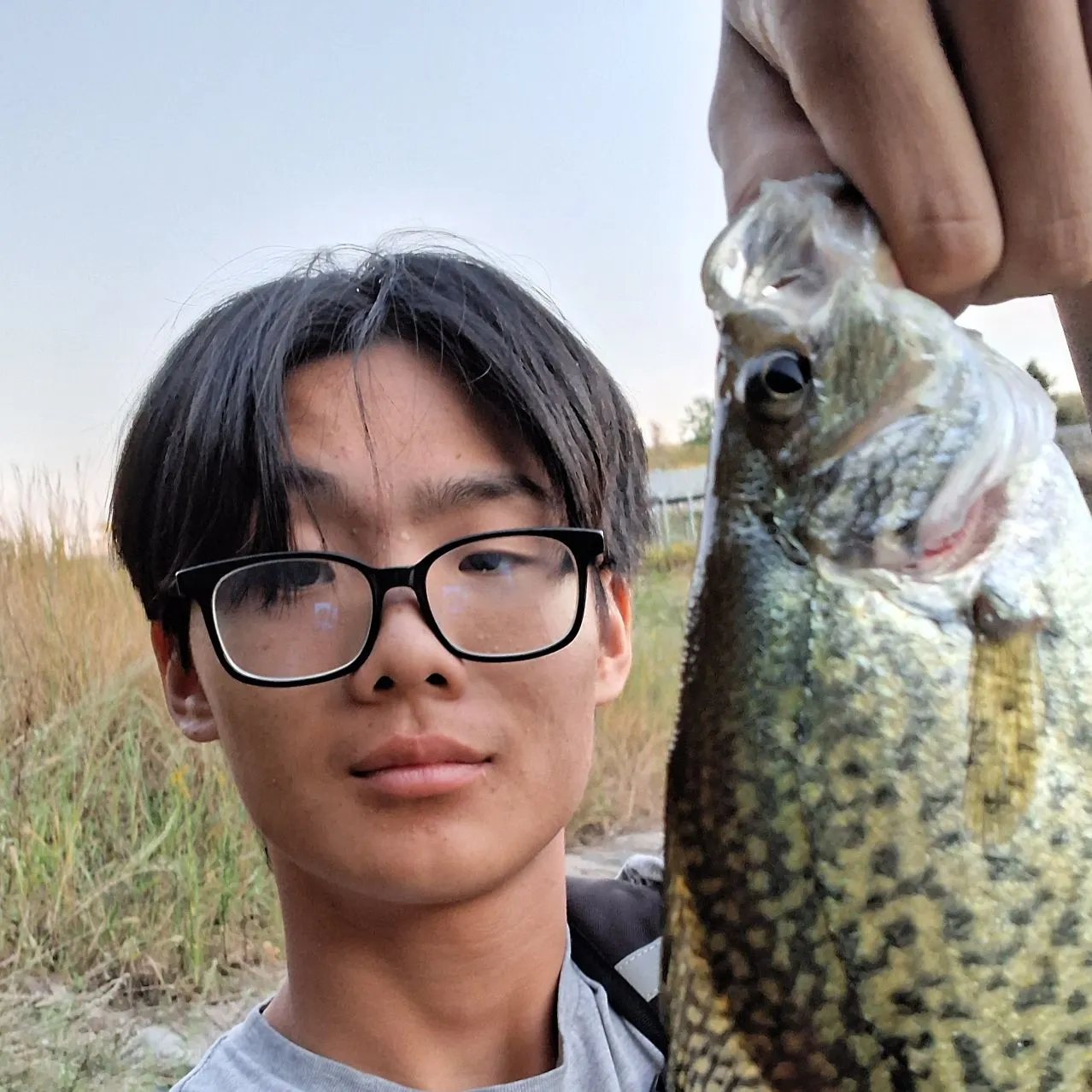 Black crappie caught on Fishbrain