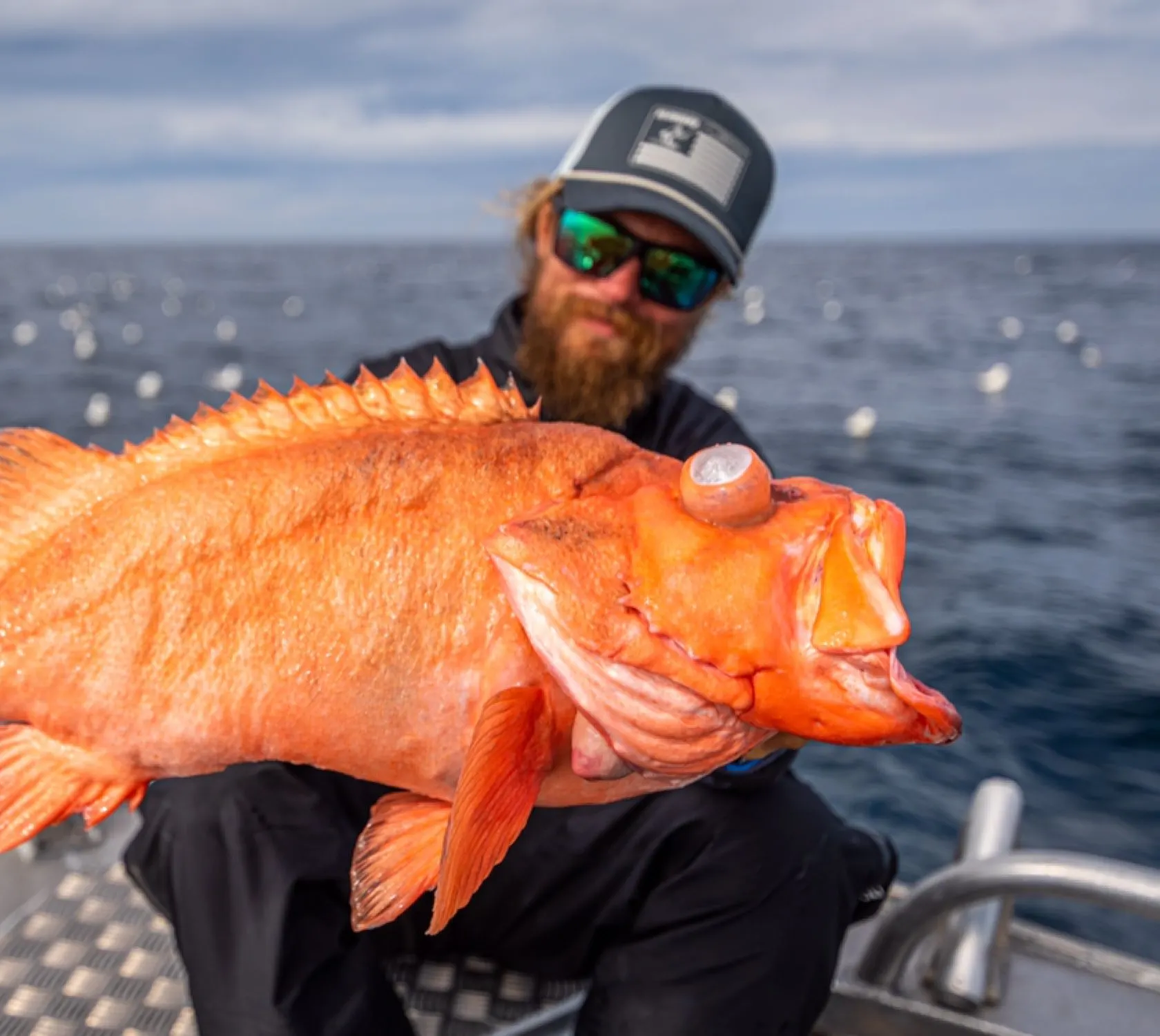 The most popular recent Atlantic ocean perch catch on Fishbrain